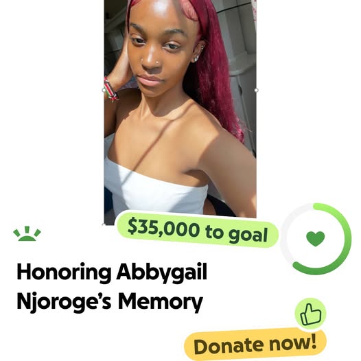Abbygail Njoroge, Car Accident, Massachusetts, Death, Obituary: Honoring Abbygail’s Legacy With Love and Support